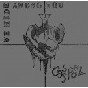 CASSPOL-We Hide Among You LP