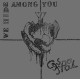 CASSPOL-We Hide Among You LP