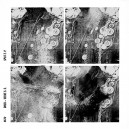 DRUX / VEUVE SS-Split 7''