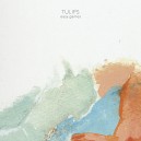 TULIPS-Easy Games LP