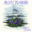 ARCTIC FLOWERS-Straight To Hunter LP