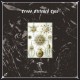 CROSS STITCHED EYES-Decomposition LP