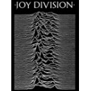 JOY DIVISION