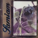 SAMIAM-s/t LP