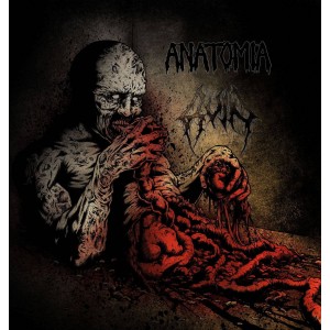 ANATOMIA / RUIN-Split LP
