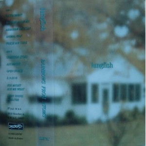 LUNGFISH-Rainbows From Atoms MC