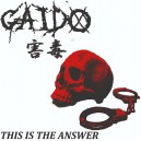 GAIDO-This Is The Answer CD