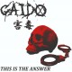 GAIDO-This Is The Answer CD