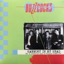 BUZZCOCKS-Harmony In My Head (The ,,A Different Kind Of Tension'' Demo 1979) LP