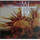 DRILLER KILLER / EXTREME NOISE TERROR-Split LP