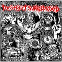 DESTRUCT / SVAVELDIOXID-Split LP