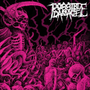 POSSIBLE DAMAGE-s/t LP