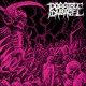 POSSIBLE DAMAGE-s/t LP