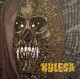 KYLESA-No Ending 7''