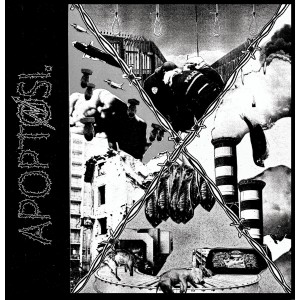 APOPTOSI-Per Tutto Il Male Che Avete Fatto LP
