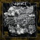 VERDICT-The Rat Race LP