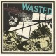 WASTED-Modern Lie LP