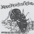 RACE AGAIST TIME-Depths Of The Antbed 7''