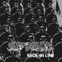 SOLID DECLINE-Back in Line 7''