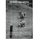 Perro Maldito 1/2002