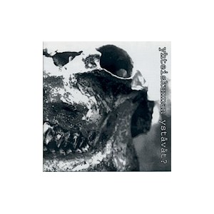 YHTEISKUNNAN YSTAVAT?-s/t 7''