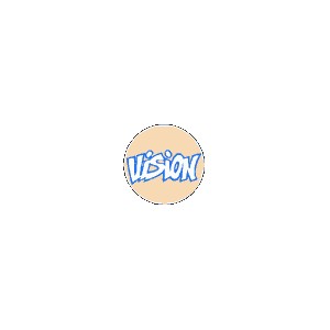 228 VISION