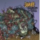 SCHROTZ-Celebrating World Collapse 7''