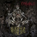 CONVINCE-The Fall 7''