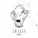 MARKSMAN-Awaken LP + CD