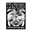 DS13