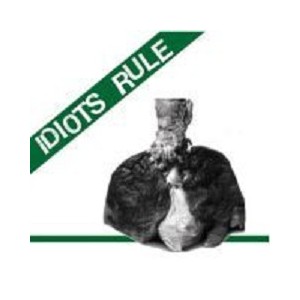 IDIOTS RULE-s/t 7''
