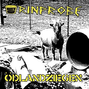 URINPROBE-Odlandziegen 7''