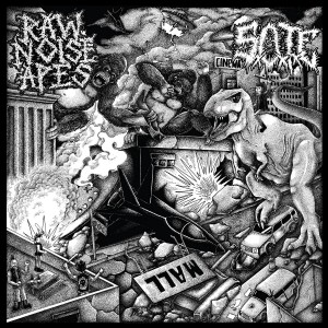 RAW NOISE APES / S.O.T.E.-Split 10''